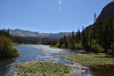 DSC_7818 (Large).JPG